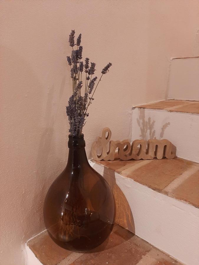 Casa Nonna Tereza Lägenhet Premantura Exteriör bild