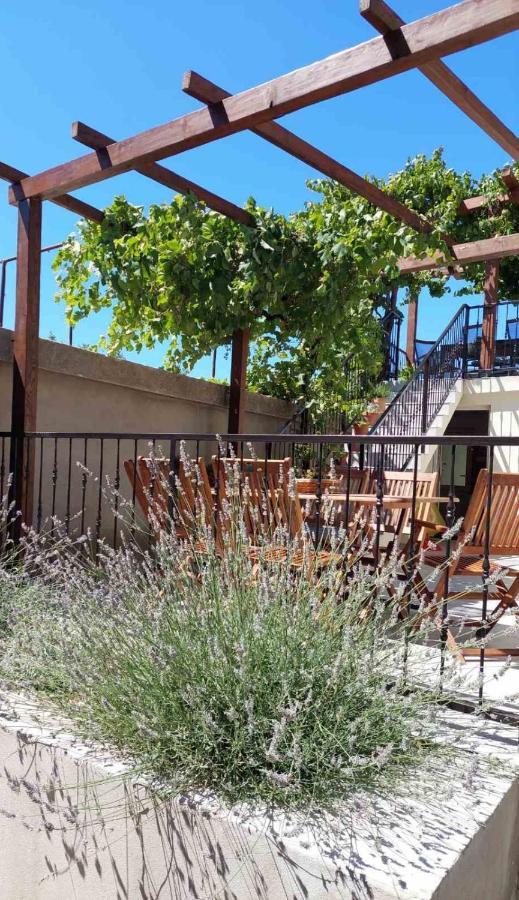 Casa Nonna Tereza Lägenhet Premantura Exteriör bild
