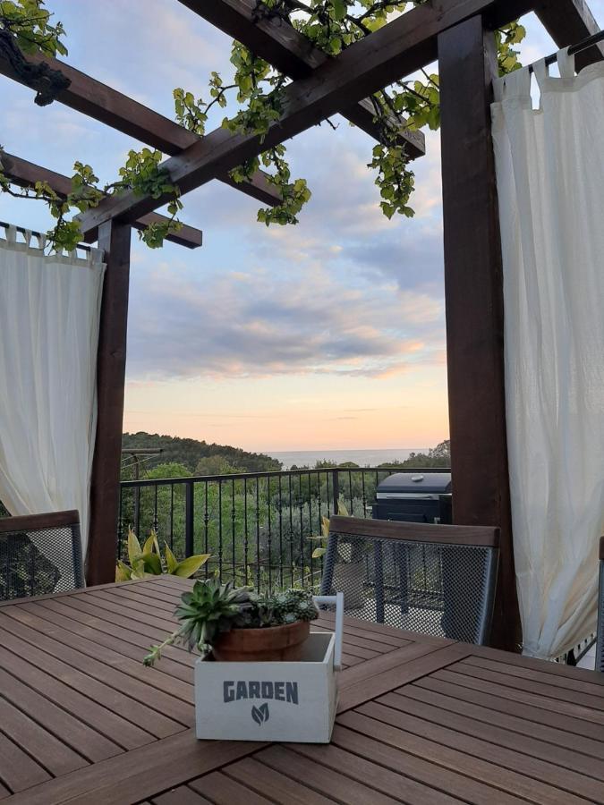 Casa Nonna Tereza Lägenhet Premantura Exteriör bild